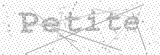 Security Picture (click to change)