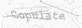 Security Picture (click to change)
