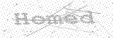 Security Picture (click to change)
