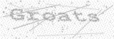 Security Picture (click to change)