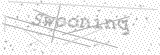 Security Picture (click to change)
