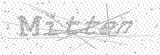 Security Picture (click to change)