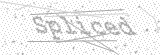 Security Picture (click to change)