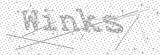 Security Picture (click to change)