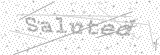 Security Picture (click to change)