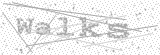 Security Picture (click to change)