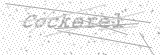 Security Picture (click to change)