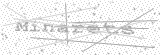 Security Picture (click to change)