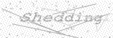 Security Picture (click to change)