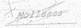 Security Picture (click to change)