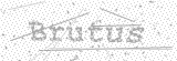 Security Picture (click to change)