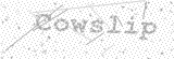 Security Picture (click to change)
