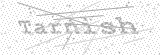 Security Picture (click to change)
