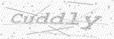 Security Picture (click to change)
