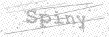 Security Picture (click to change)