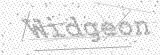 Security Picture (click to change)