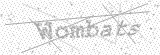 Security Picture (click to change)