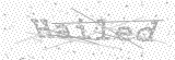 Security Picture (click to change)
