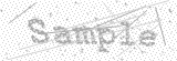 Security Picture (click to change)