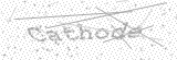 Security Picture (click to change)