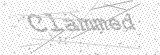Security Picture (click to change)