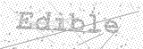 Security Picture (click to change)