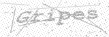 Security Picture (click to change)