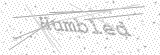 Security Picture (click to change)