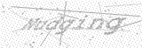 Security Picture (click to change)