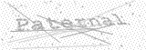 Security Picture (click to change)
