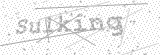 Security Picture (click to change)