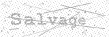 Security Picture (click to change)
