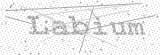 Security Picture (click to change)
