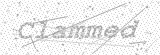 Security Picture (click to change)