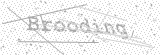 Security Picture (click to change)