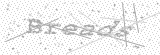 Security Picture (click to change)