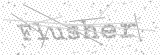 Security Picture (click to change)
