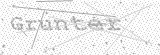 Security Picture (click to change)