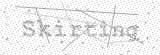 Security Picture (click to change)