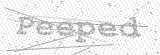 Security Picture (click to change)