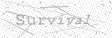 Security Picture (click to change)