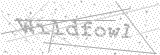 Security Picture (click to change)
