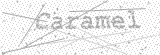 Security Picture (click to change)