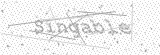 Security Picture (click to change)