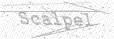 Security Picture (click to change)