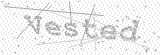 Security Picture (click to change)