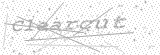 Security Picture (click to change)