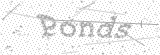 Security Picture (click to change)