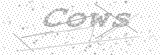 Security Picture (click to change)