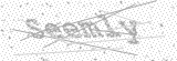 Security Picture (click to change)